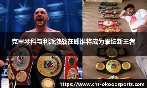 克里琴科与利派激战在即谁将成为拳坛新王者